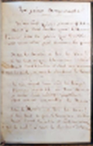 Manuscrit http-EnVente-LaJeuneAmoureuse